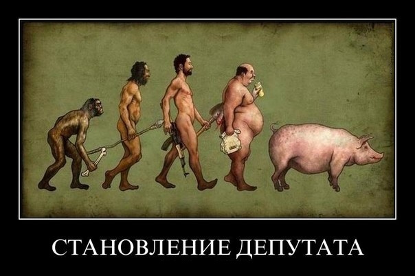 Эволюция