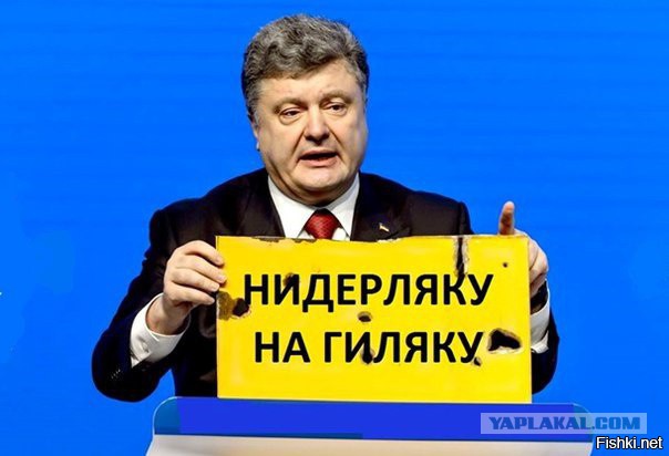 СМИ: 64% голландцев высказались против ассоциации Украины с ЕС