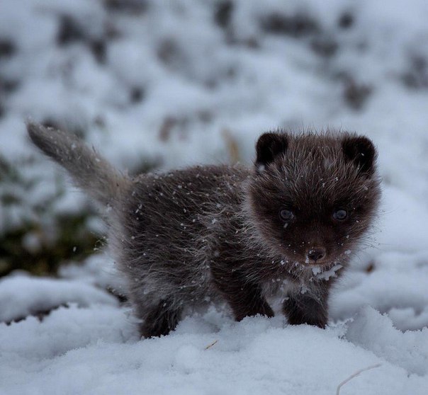 Подборка интересных и веселых фото