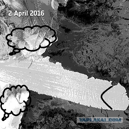 От Антарктиды откололись два огромных куска шельфа