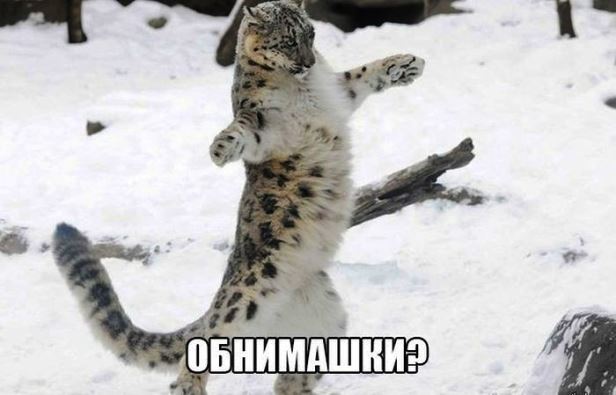 Обнимите меня, кому не лень.