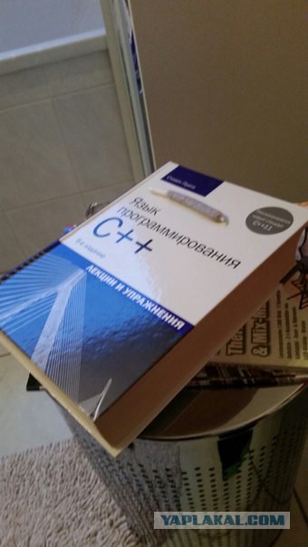 Программисты на C — самый большой разделённый народ в мире?