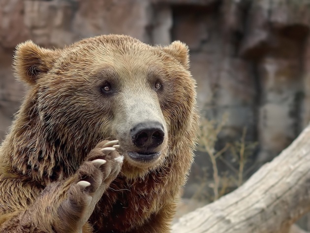 Подборка интересных и веселых картинок