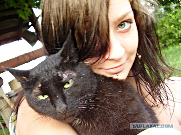 Когда твой кот не любит фотографироваться