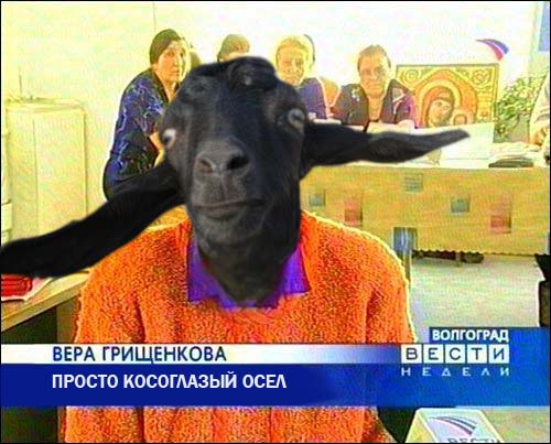 Фотожаба: Вера Грищенкова
