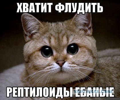Они существуют