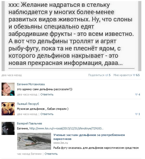 Ужасы и приколы из соцсетей 18+