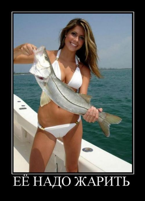 Ну, за рыбалку!  ©