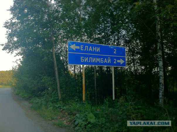 Слесарь из Воронежа Сергей Боярский каждую неделю вывозит мусор из леса