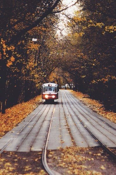 Картинки для отдыха глаз
