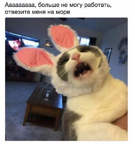 Картинки смешные из интернетов