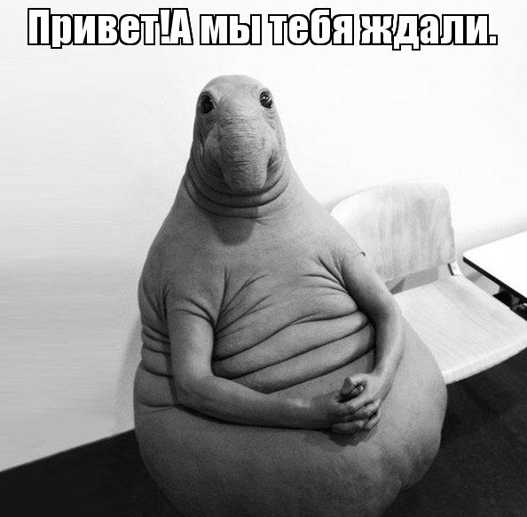 Эти папы знают, как сделать ребёнка счастливым