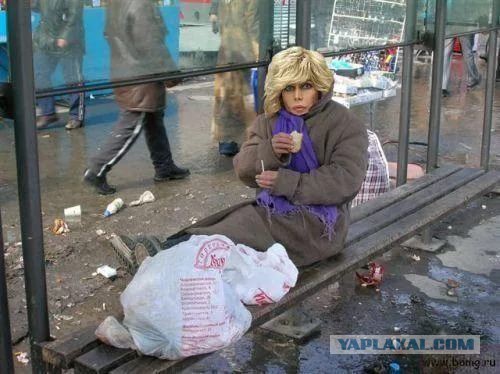 Барбер-шоп  от Никиты Михалкова и другие люди культуры, нашедшие себя в других сферах