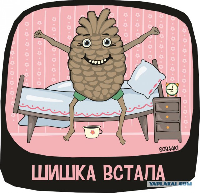Соцсети. Муклам вход воспрещён.