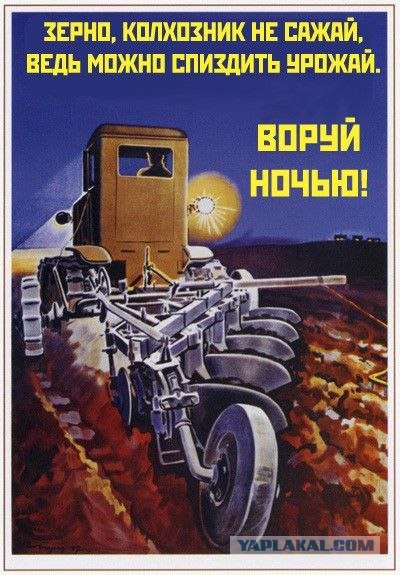 "Картошку воруют?!"