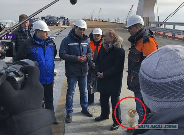 "Спец" по Крымскому мосту.