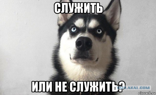 Служить или "косить"? А как вы считаете?