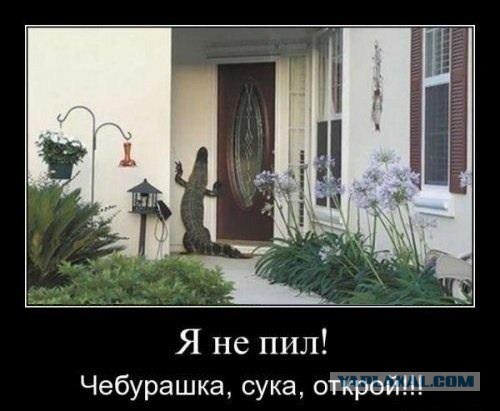 Специфический юмор