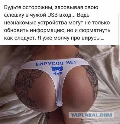 Да что тут вообще происходит?