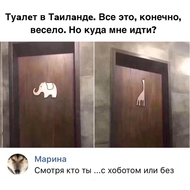 Прикольные комментарии и высказывания из Сети 24.10.2018