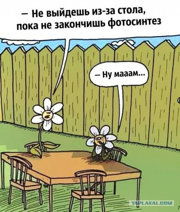 Не очень адекватный юмор