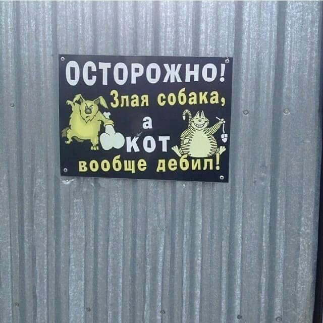 Калейдоскоп картинок