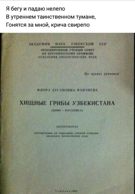 Стихо+картинки
