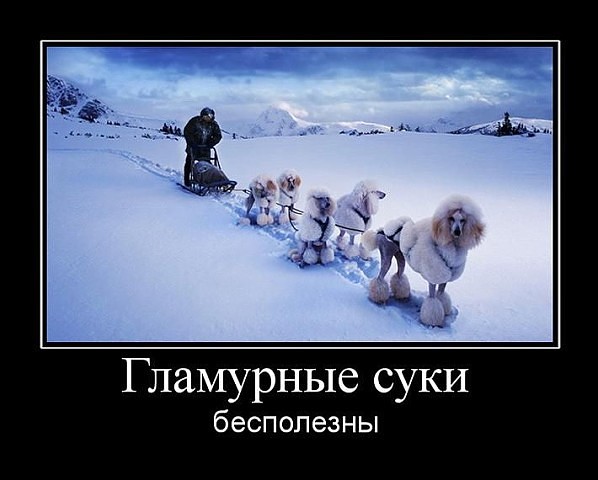Разные по свежести картинки