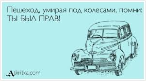 Самокатчик vs. водитель автобуса