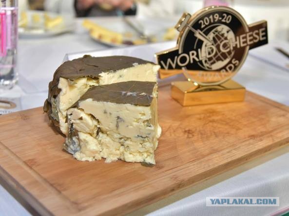 Сыр подмосковных сыроваров из Королева получил «Золото» на сырном «Оскаре» в Италии