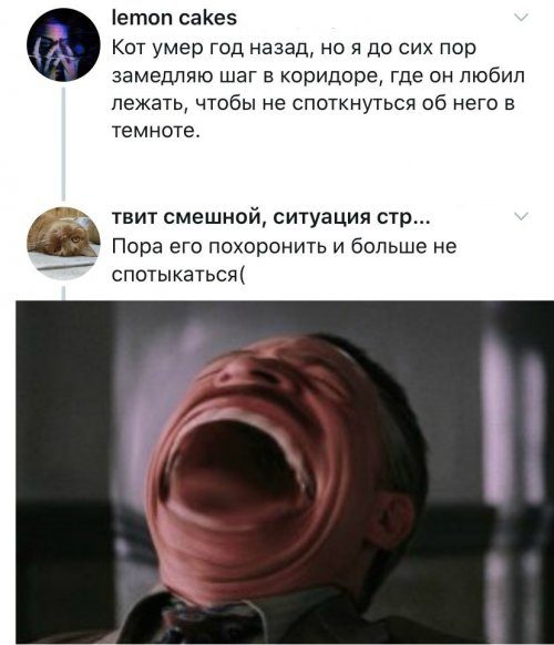 Кретинки