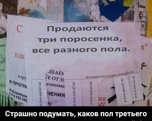 Немного картинок для настроения 222