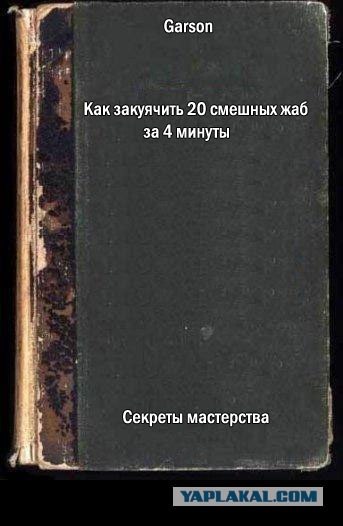 Фотожаба: учебник