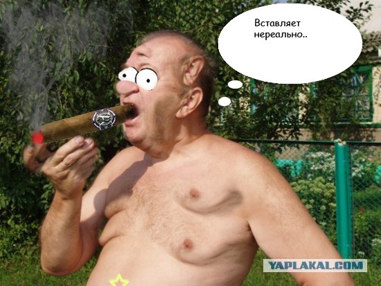 Огородник и урожай