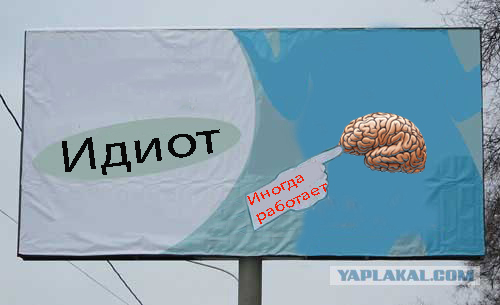 Орган работает! (8 фото)
