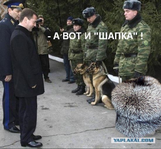 Россия и Аргентина