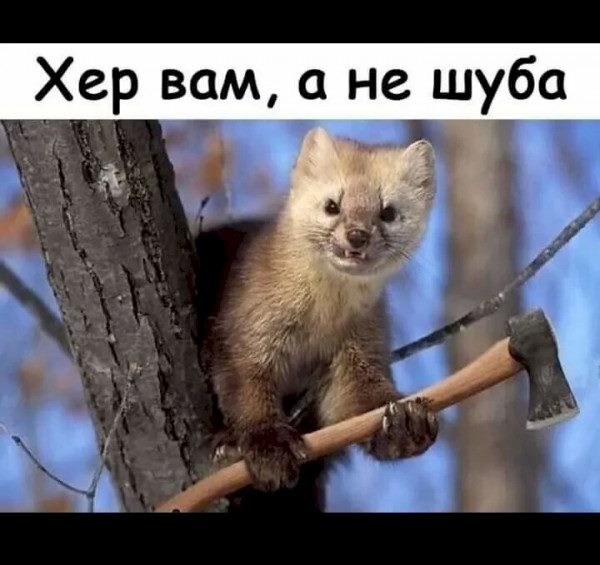 Немного картинок для настроения 20.08.20