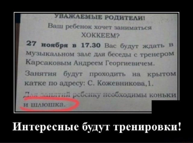 Фотки и картинки: юморные и красивые, забавные и милые 09.10.20