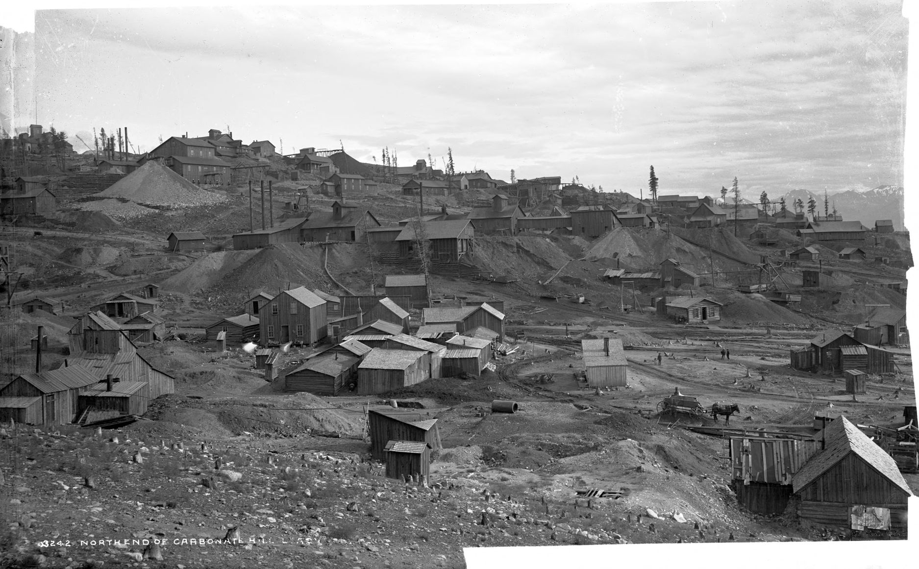 Станция александровская сестрорецк. Чусовой 19 век. Пос век. Рэс в синегорье р. Висимо шайтанский завод демидовых.