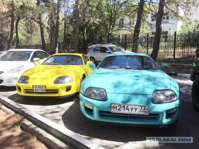 Мятная Супра