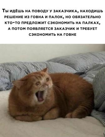 Бредзона 12.12.20