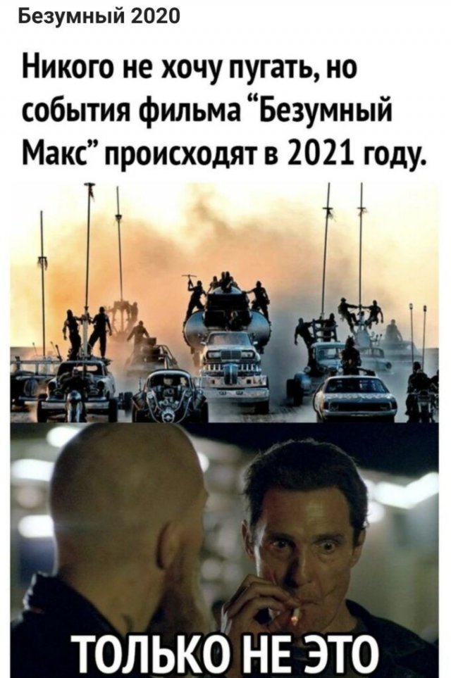 15099382.jpg