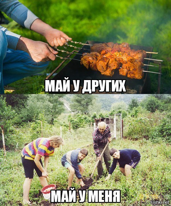 Картинки и мемы для настроения 015