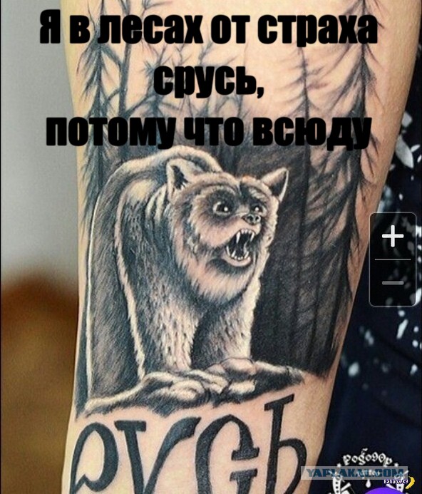 Портаки из социальных сетей