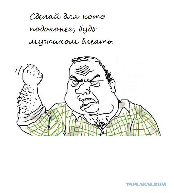 Котенок и голубь