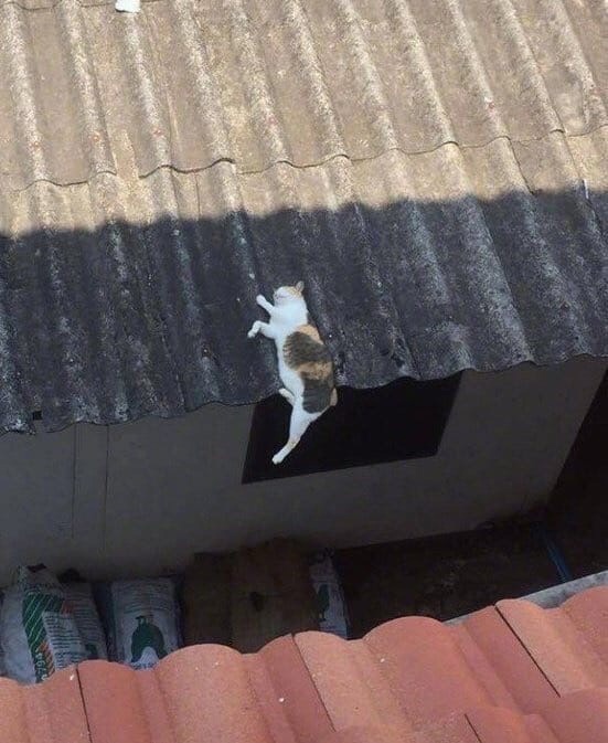 Калейдоскоп картинок