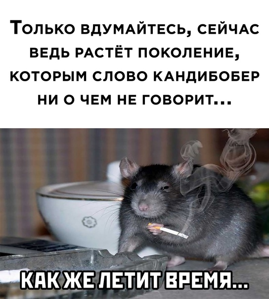 Картинки и мемы для настроения 029