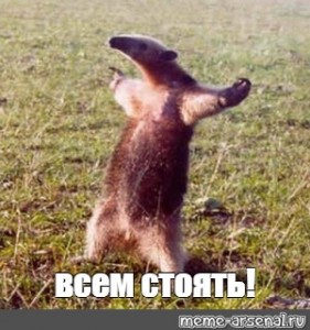 В Санкт-Петербурге час назад участники дорожного движения жестокого избили регулировщика
