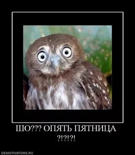 ТруЪ демотиваторы