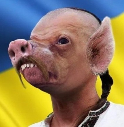 Пентагон заявил о планах России сфабриковать предлог для вторжения на Украину